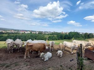 22019261-Doppelzimmer-2-Mohlsdorf-Teichwolframsdorf-300x225-1