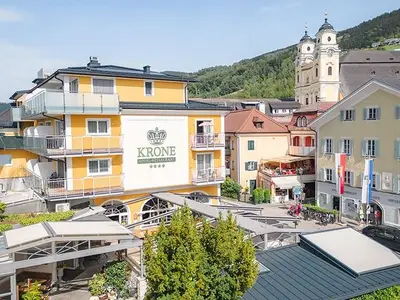 Doppelzimmer für 1 Person (25 m²) in Mondsee 1/10