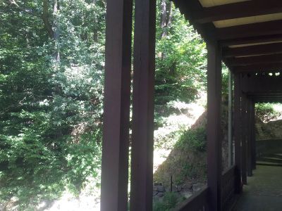 Balkon zum Wald