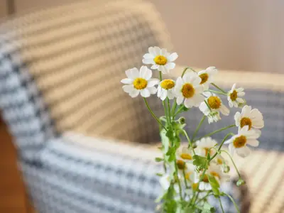 Doppelzimmer für 2 Personen in Nehren (Baden-Württemberg) 4/10