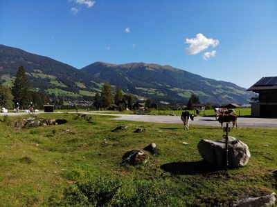 Doppelzimmer für 3 Personen in Neukirchen am Großvenediger 2/10