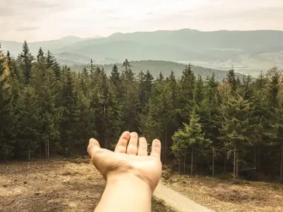 Ausblick vom Zimmer in den lamer Winkel