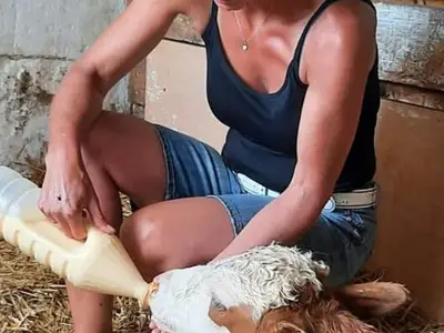 Doppelzimmer für 2 Personen (20 m²) in Zeutschach 3/10