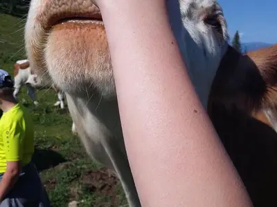 Doppelzimmer für 2 Personen (20 m²) in Zeutschach 5/10