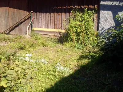 Kleiner Gemüsegarten im Hof