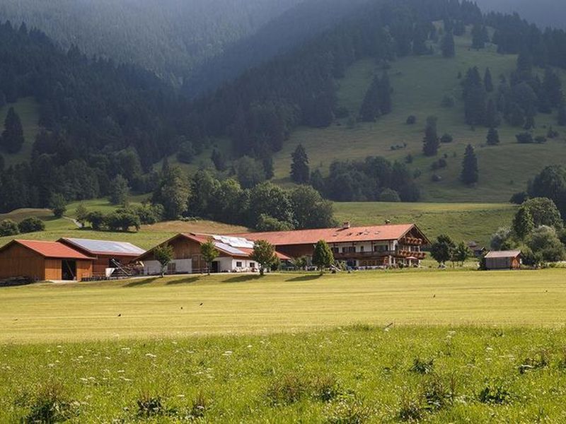 21644839-Doppelzimmer-2-Oberammergau-800x600-1