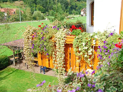 Doppelzimmer für 2 Personen in Oberharmersbach 5/9