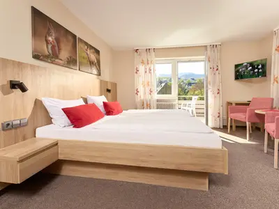 Doppelzimmer für 2 Personen in Oberharmersbach 4/6