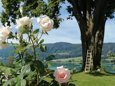 Doppelzimmer für 2 Personen (14 m²) in Oberhofen am Irrsee 5/10