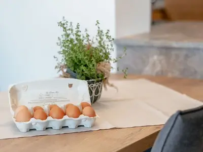 Doppelzimmer für 5 Personen (60 m²) in Oberhofen am Irrsee 7/10