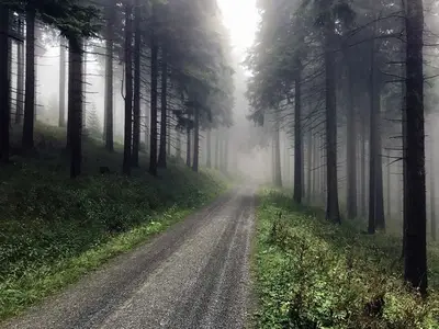 Doppelzimmer für 3 Personen (24 m²) in Oberwiesenthal 4/10
