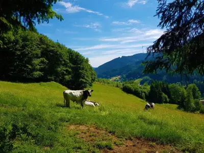 Doppelzimmer für 2 Personen in Oberwolfach 1/6