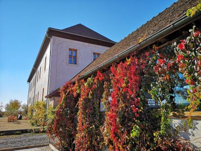 Doppelzimmer für 2 Personen (10 m²) in Oppurg 2/10