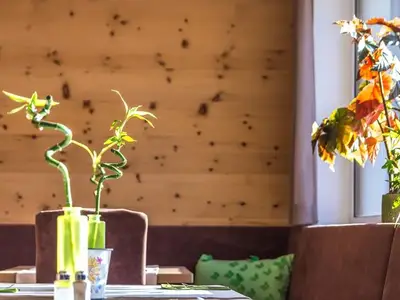 Doppelzimmer für 2 Personen in Pertisau 7/10