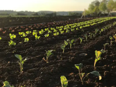 Doppelzimmer für 2 Personen in Pilsach 1/9