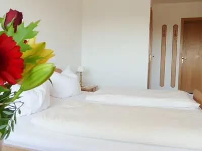 Doppelzimmer für 2 Personen in Radolfzell am Bodensee 9/10
