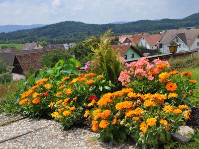 Doppelzimmer für 4 Personen in Radolfzell am Bodensee 7/10