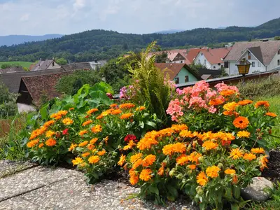 Doppelzimmer für 2 Personen in Radolfzell am Bodensee 7/10