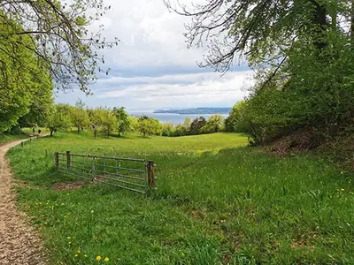 Blick auf den Bodensee