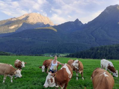 auf dem Feld