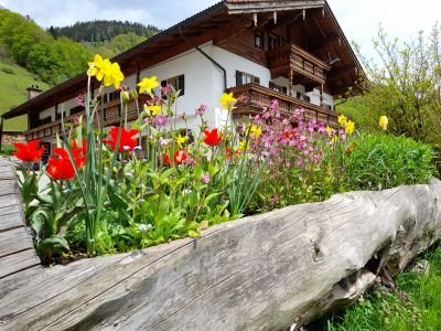 Doppelzimmer für 3 Personen in Ramsau 5/10