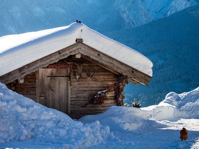 Ziegenstall im Winter