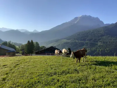 Doppelzimmer für 2 Personen in Ramsau 6/10