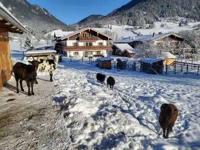 Doppelzimmer für 2 Personen in Ramsau 5/10