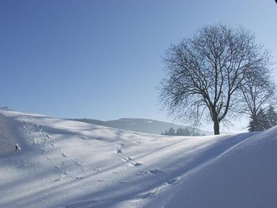 Wintermärchen