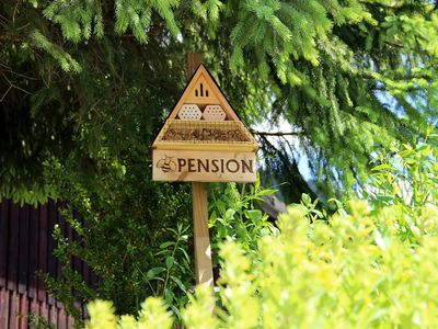 Bienen-Pension