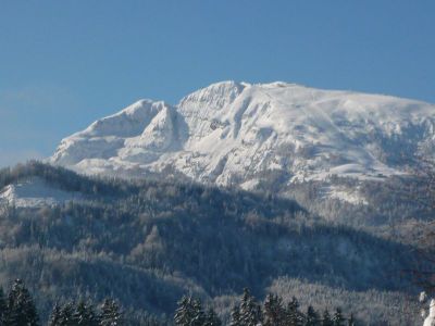 Aussicht vom Haus