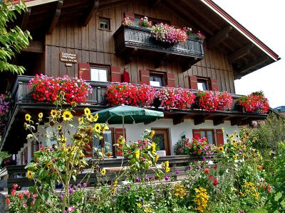 Sommeransicht vom Gästehaus Höflinger