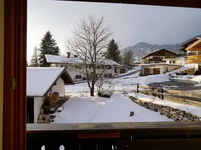 Wilde Gams, Blick in den Garten