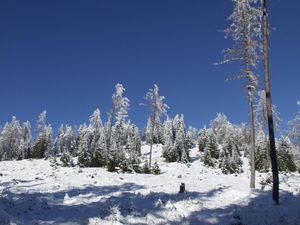 23310920-Doppelzimmer-2-Rohr im Gebirge-300x225-2