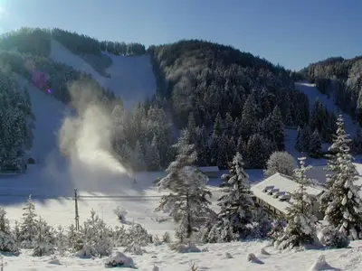 Direkt im Schigebiet von Rohr am Gebirge
