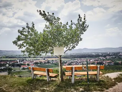 Blick auf Rohrendorf
