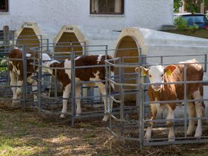 15220529-Doppelzimmer-3-Rottau-300x225-4