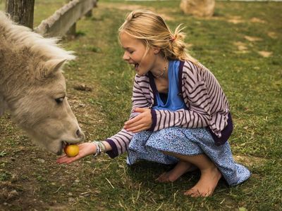 Tiere füttern und streicheln