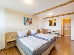 Doppelzimmer für 2 Personen (30 m²) in Rudolstadt