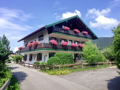 Pension Bergblick - Sommer