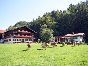 15209137-Doppelzimmer-3-Sachrang (bei Aschau)-300x225-1