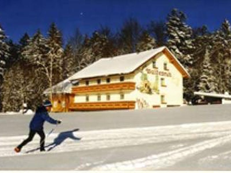 22377169-Doppelzimmer-2-Sankt Oswald-Riedlhütte-800x600-0