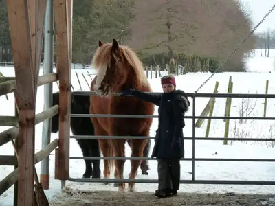 Schnee auf der Pferdekoppel