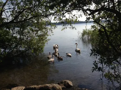 Doppelzimmer für 2 Personen (22 m²) in Scharbeutz 9/10