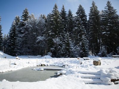 Garten im Winter