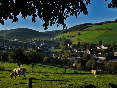 Doppelzimmer für 3 Personen in Schmallenberg 3/10