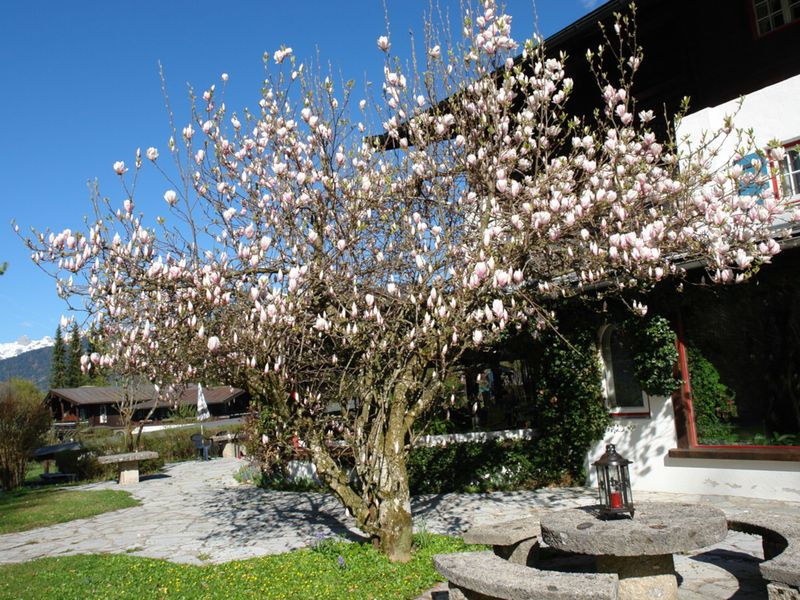 23938470-Doppelzimmer-2-Schönau am Königssee-800x600-1