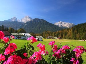 17996520-Doppelzimmer-2-Schönau am Königssee-300x225-3