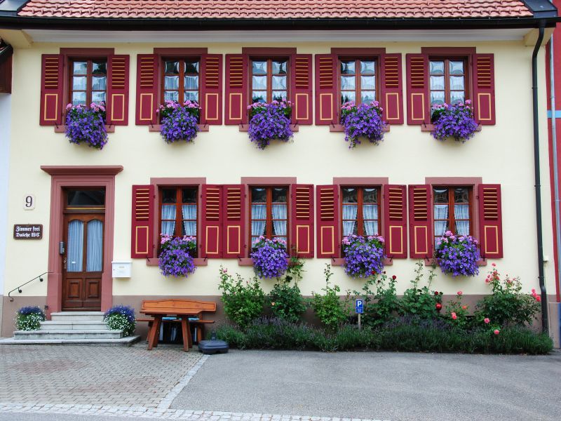 22374169-Doppelzimmer-2-Schönau im Schwarzwald-800x600-0