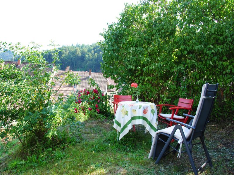 22374169-Doppelzimmer-2-Schönau im Schwarzwald-800x600-1